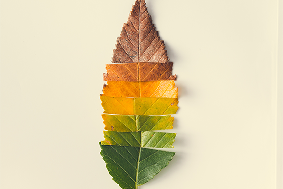 April Newsletter 3_web